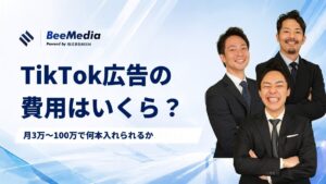 TikTok広告の費用は結局いくら？月3万・10万・30万・100万で「何本入れられるか」を、自社の実績（20万円でリード95件）から逆算して全部出します