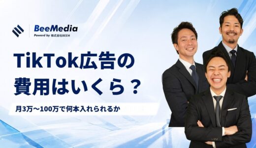 TikTok広告の費用は結局いくら？月3万・10万・30万・100万で「何本入れられるか」を、自社の実績（20万円でリード95件）から逆算して全部出します